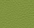 Classic(Contract Vinyl) # 113 Scallion by Maxwell Designer Fabric Vinyls I - Contract 100% PVC BACKING-100% POLYESTER TAIWAN 54" - Swanky Fabrics -