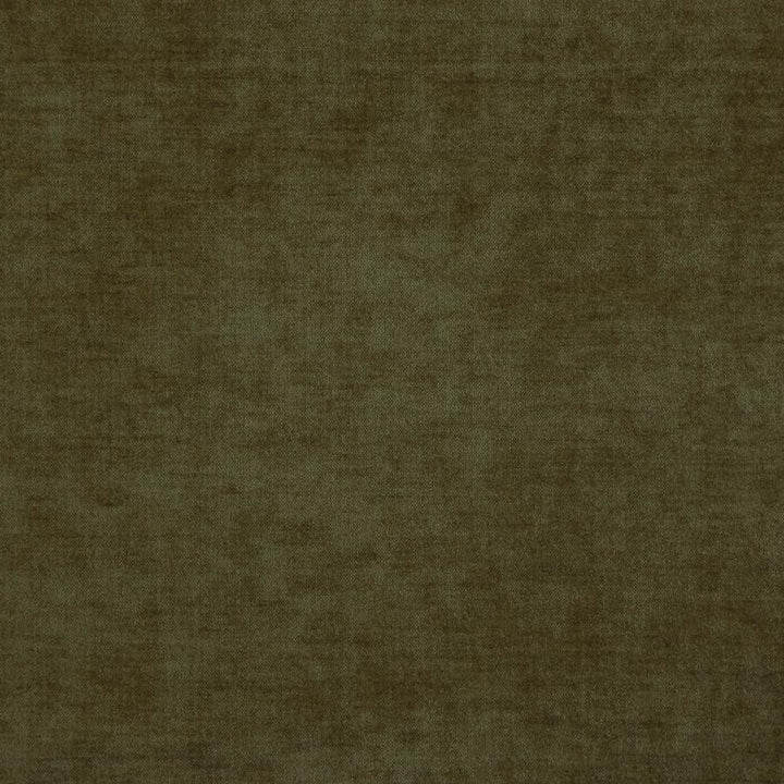 Chadwick(New) # 1639 Olive by Maxwell Fabric Curled Up Iii 53% ACRYLIC/42% POLYESTER 5% VISCOSE TURKEY 55" - Fabric Carolina -