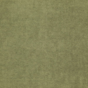 Chadwick(New) # 1935 Pesto by Maxwell Fabric