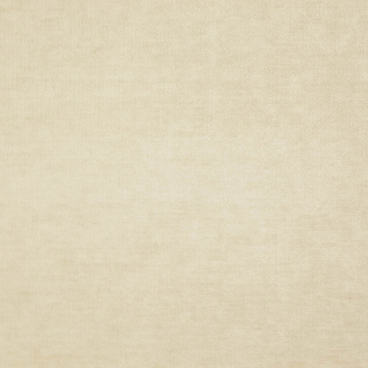 Chadwick (New) # 4405 Putty by Maxwell Fabric CURLED UP III 53% ACRYLIC 42% POLYESTER
5% VISCOSE TURKEY </p><p>Repeat: Horizontal: and Vertical: 55" - Fabric Carolina -