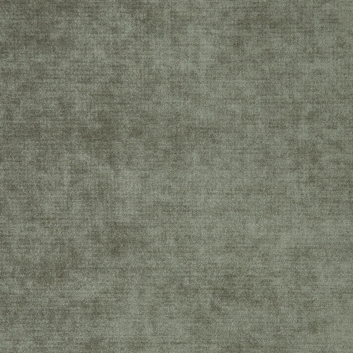 Chadwick (New) # 5614 Chinchilla by Maxwell Fabric CURLED UP III 53% ACRYLIC/42% POLYESTER
5% VISCOSE TURKEY See sample </p><p>Repeat: Horizontal: and Vertical: 55" - Fabric Carolina -