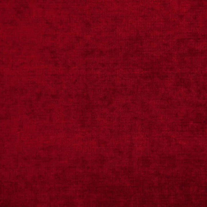 Chadwick(New) # 7150 Cardinal by Maxwell Fabric CURLED UP III 53% ACRYLIC/42% POLYESTER 5% VISCOSE TURKEY 55" - Fabric Carolina -