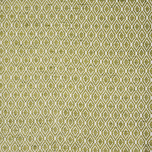 Connection # 155 Wasabi by Maxwell Fabric
