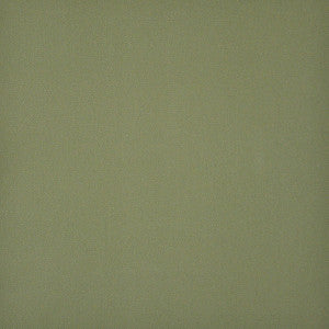 Cambridge # 668 Pesto by Maxwell Fabric