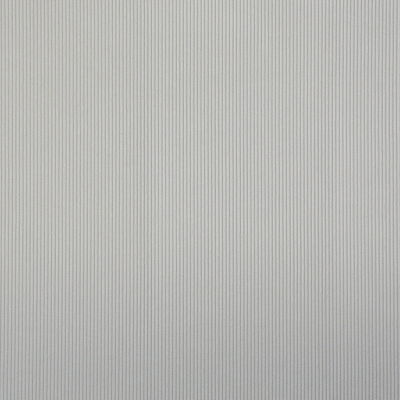 Corded # 922 Polar by Maxwell Fabric PERFORMANCE WOVENS-VOL.II SHADOW & LIGHT 100% POLYESTER CHINA </p><p>Repeat: Horizontal: and Vertical: H-0.12 54" - Fabric Carolina -
