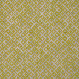 Cubic # 815 Gooseberry by Maxwell Fabric