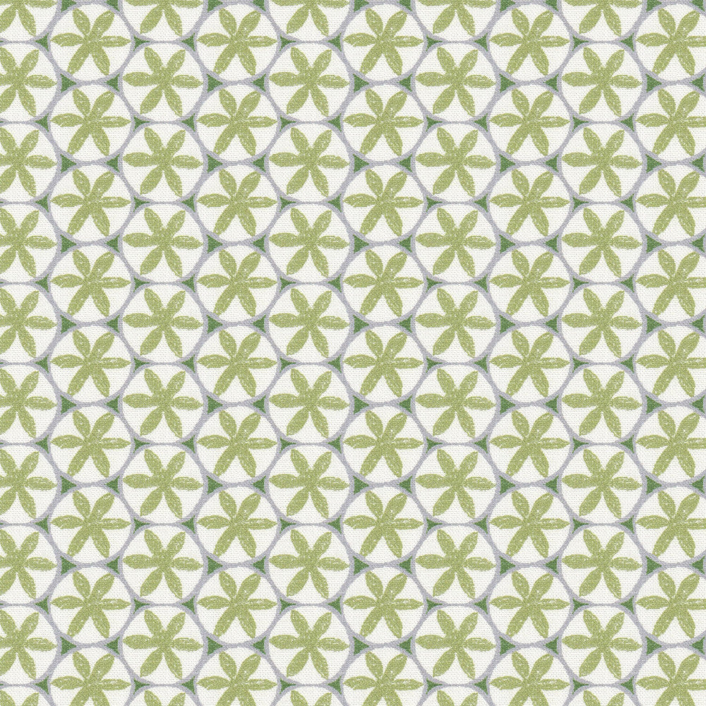 Ceiling 1 Apple by Stout Fabric Stout Fabric Ceiling 1 AppleFabric RAINBOW LIBRARY PISTACHIO/CHIVE 90%COT 10%LIN SPAIN </p><p>Repeat: H: 1.375, V: 2.500 55 in - Fabric Carolina -