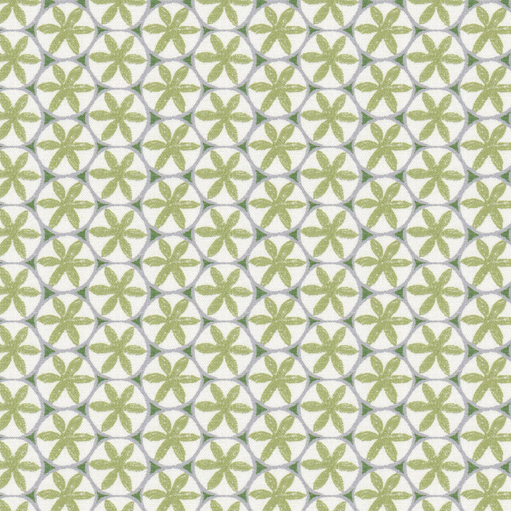 Ceiling 1 Apple by Stout Fabric Stout Fabric Ceiling 1 AppleFabric RAINBOW LIBRARY PISTACHIO/CHIVE 90%COT 10%LIN SPAIN </p><p>Repeat: H: 1.375, V: 2.500 55 in - Fabric Carolina -