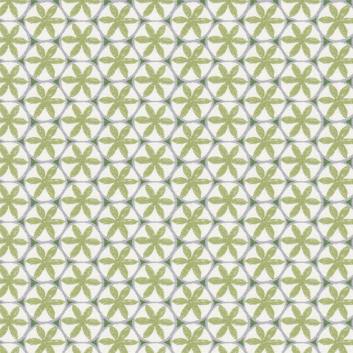 Ceiling 1 Apple by Stout Fabric Stout Fabric Ceiling 1 AppleFabric RAINBOW LIBRARY PISTACHIO/CHIVE 90%COT 10%LIN SPAIN </p><p>Repeat: H: 1.375, V: 2.500 55 in - Fabric Carolina -