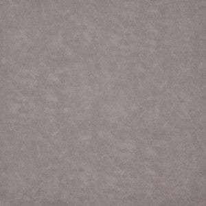 Chambers-Ess # 1001 Silver by Maxwell Fabric