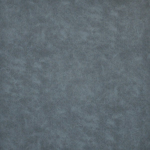 Chambers-Ess # 650 Brook by Maxwell Fabric