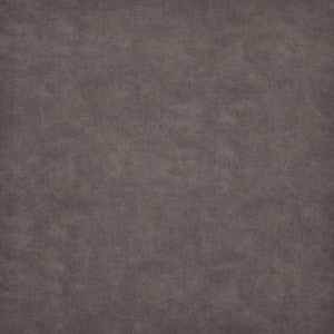 Chambers-Ess # 801 Stingray by Maxwell Fabric