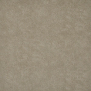 Chambers-Ess # 945 Pyramid by Maxwell Fabric