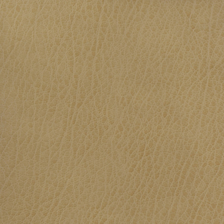 Celine-106 by Kravet Basics Fabric POLYURETHANE - 100% China HEAVY Horizontal: and Vertical: 54 - Fabric Carolina -