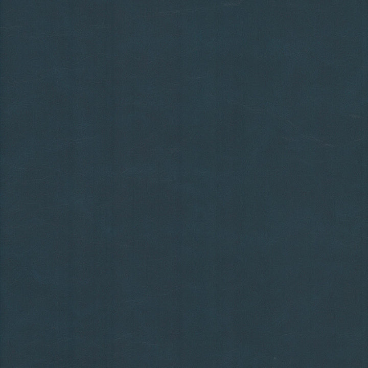 Cervantes 10 Baltic by Stout Fabric Stout Fabric Cervantes 10 BalticFabric LEATHER LOOKS V 100%PVC 1%OTH CHINA </p><p>Repeat: H: 0.000, V: 0.000 54 in - Fabric Carolina -