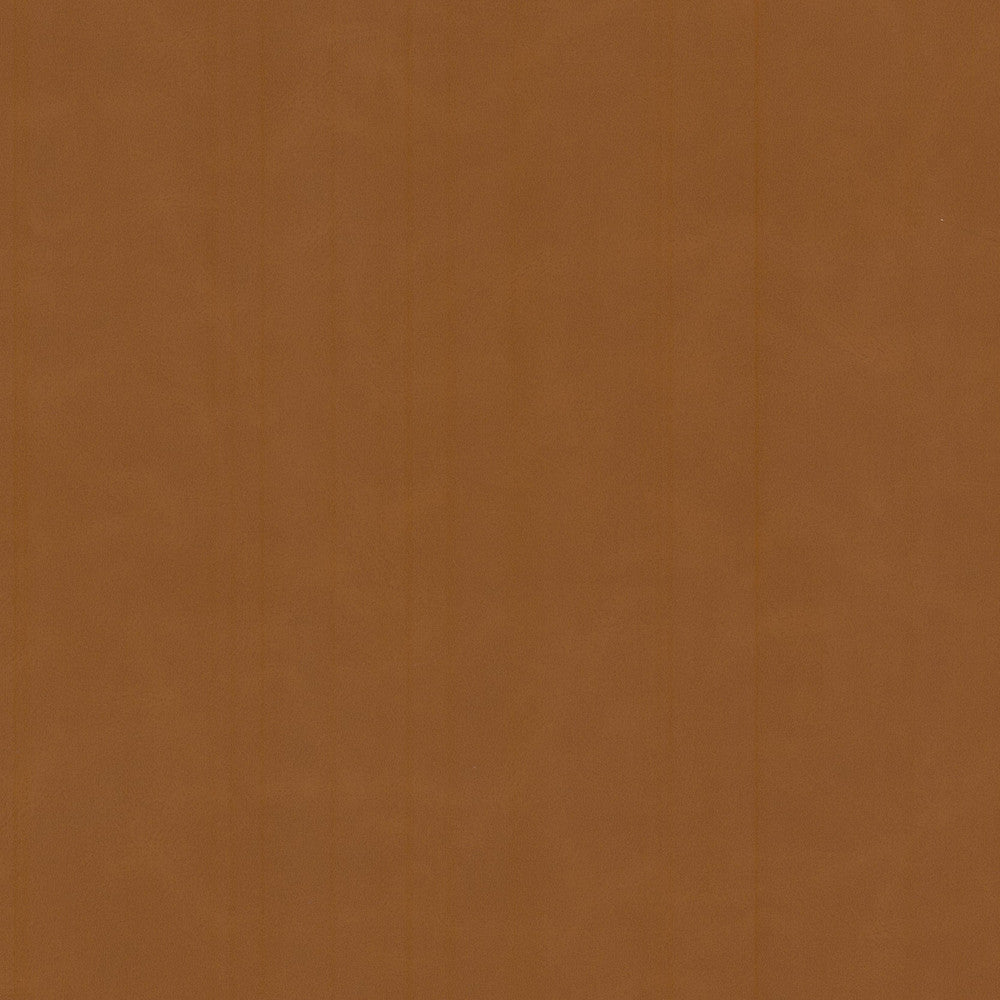 Cervantes 2 Pecan by Stout Fabric Stout Fabric Cervantes 2 PecanFabric LEATHER LOOKS V 100%PVC 1%OTH CHINA </p><p>Repeat: H: 0.000, V: 0.000 54 in - Fabric Carolina -