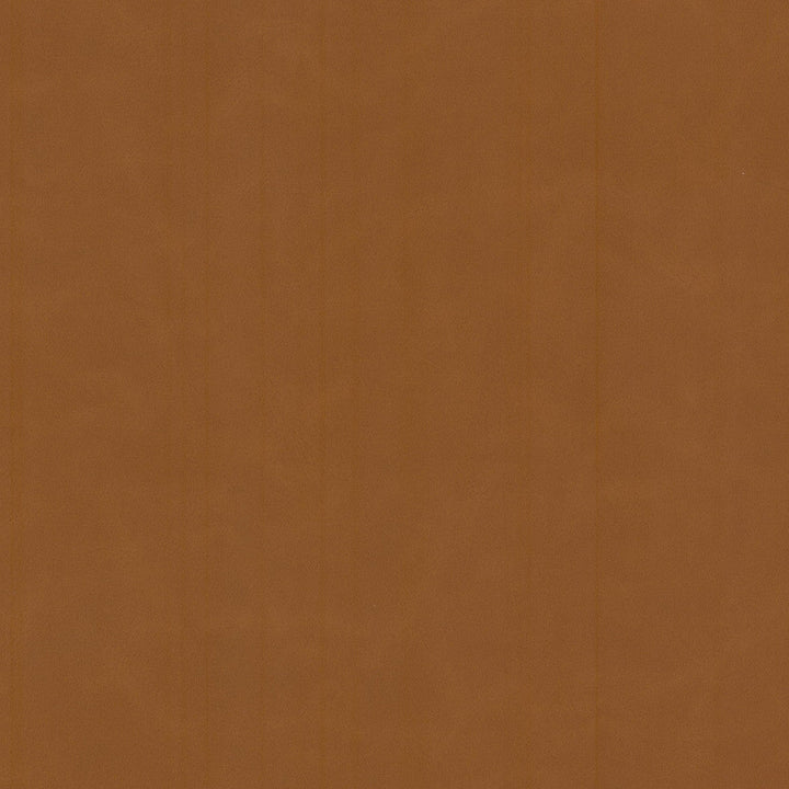 Cervantes 2 Pecan by Stout Fabric Stout Fabric Cervantes 2 PecanFabric LEATHER LOOKS V 100%PVC 1%OTH CHINA </p><p>Repeat: H: 0.000, V: 0.000 54 in - Fabric Carolina -