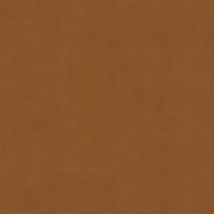 Cervantes 2 Pecan by Stout Fabric LEATHER LOOKS V 100%PVC 1%OTH CHINA PERFORMANCE RATED FABRIC FLAME RETARDANT-N.F.P.A. 260A CLASS 1 CATB 117-2013 WYZENBEEK 500 000 DOUBLE RUB WEAR TEST(EXTREMELY HEAVY DUTY) Horizontal: 0.000 and Vertical: 0.000 54 in - Fabric Carolina -