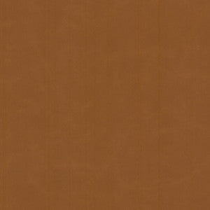 Cervantes 2 Pecan by Stout Fabric