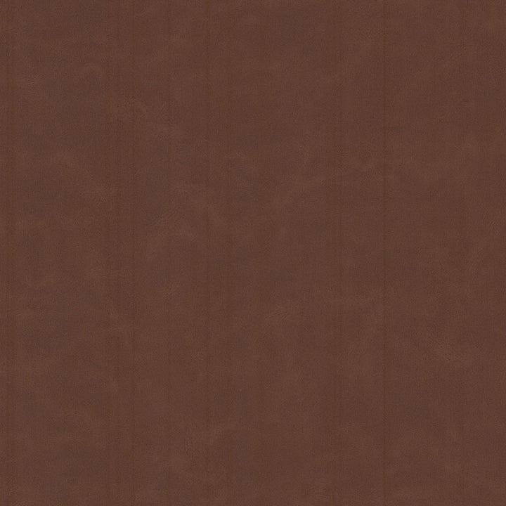 Cervantes 3 Raisin by Stout Fabric LEATHER LOOKS V 100%PVC 1%OTH CHINA Horizontal: 0.000 and Vertical: 0.000 54 in - Fabric Carolina -