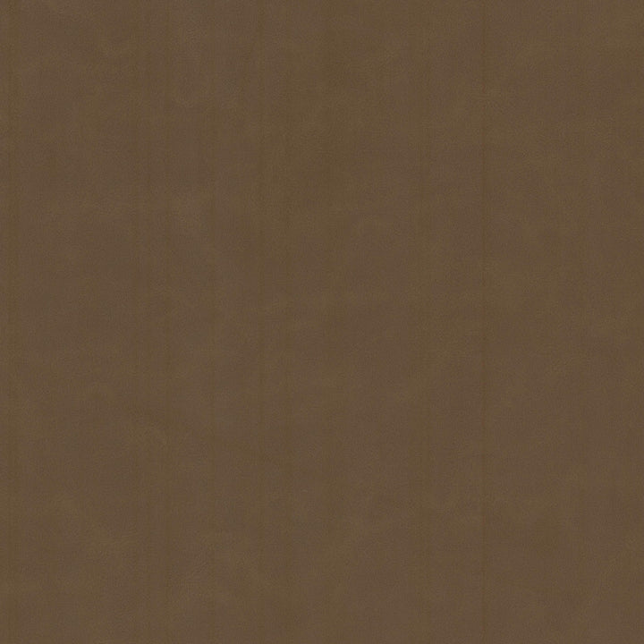 Cervantes 4 Bark by Stout Fabric LEATHER LOOKS V 100%PVC 1%OTH CHINA Horizontal: 0.000 and Vertical: 0.000 54 in - Fabric Carolina -