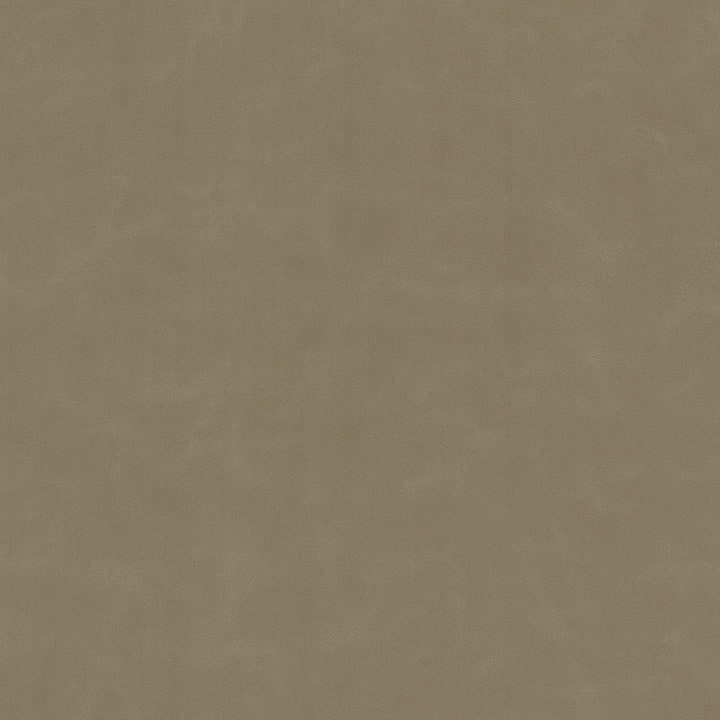 Cervantes 9 Agate by Stout Fabric Stout Fabric Cervantes 9 AgateFabric Leather Looks V 100%Pvc 1%Oth China </p><p>Repeat: H: 0, V: 12.5 54 in - Fabric Carolina -