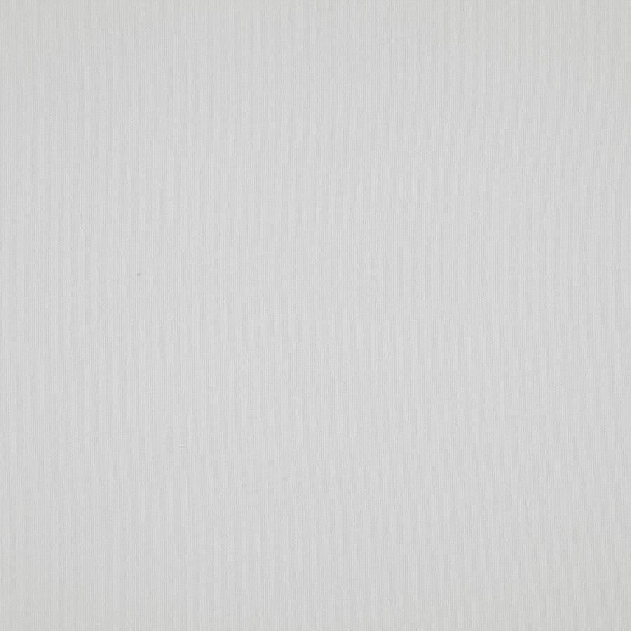 Cloud # 01 Ice by Maxwell Fabric Pure & Simple Viii 72% POLYESTER/28% COTTON INDIA 54.25" - Fabric Carolina -
