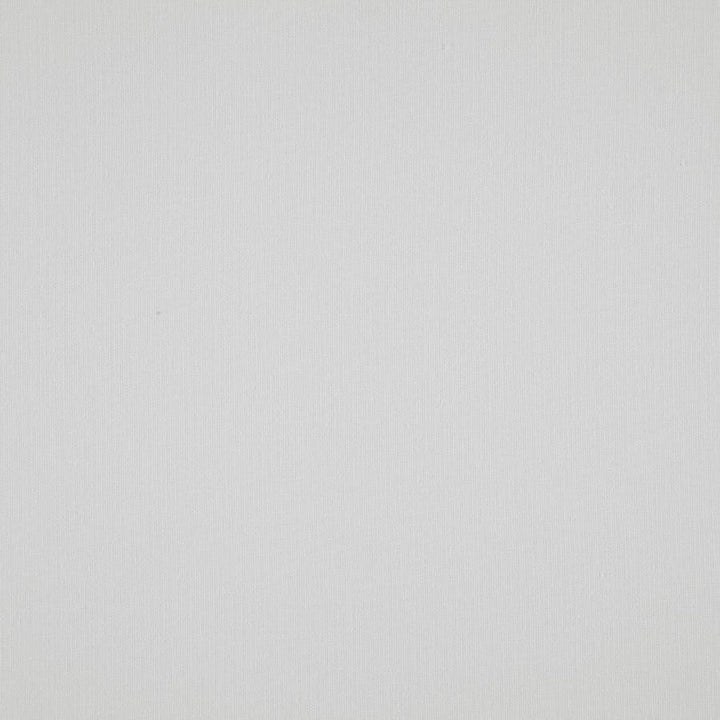 Cloud # 01 Ice by Maxwell Fabric Pure & Simple Viii 72% POLYESTER/28% COTTON INDIA 54.25" - Fabric Carolina -