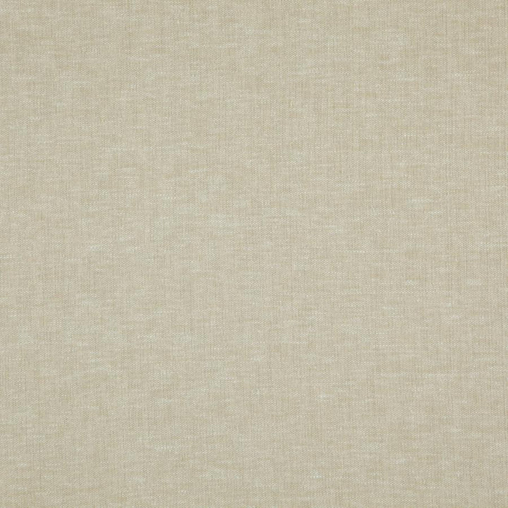 Cloud # 05 Seagrass by Maxwell Fabric Pure & Simple Viii 72% POLYESTER/28% COTTON INDIA 54.25" - Fabric Carolina -