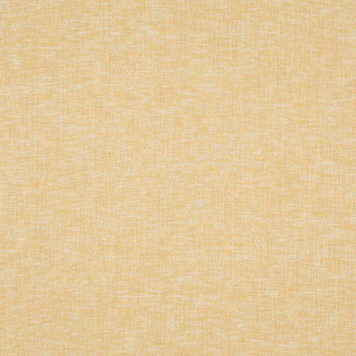 Cloud # 23 Mimosa by Maxwell Fabric PURE & SIMPLE VIII 72% POLYESTER/28% COTTON INDIA 54.25" - Fabric Carolina -