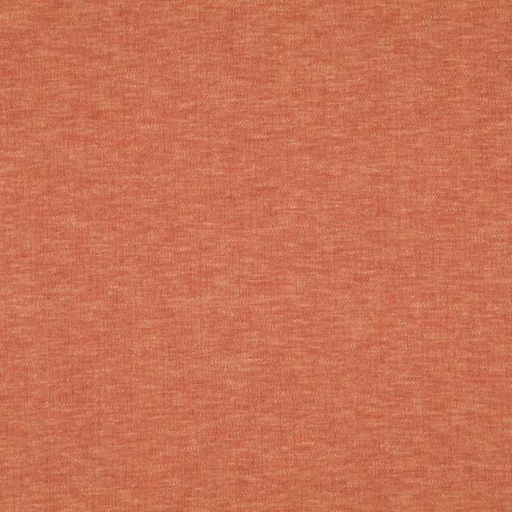 Cloud # 24 Koi by Maxwell Designer Fabric PURE & SIMPLE VIII 72% POLYESTER/28% COTTON INDIA 54.25" - Swanky Fabrics -