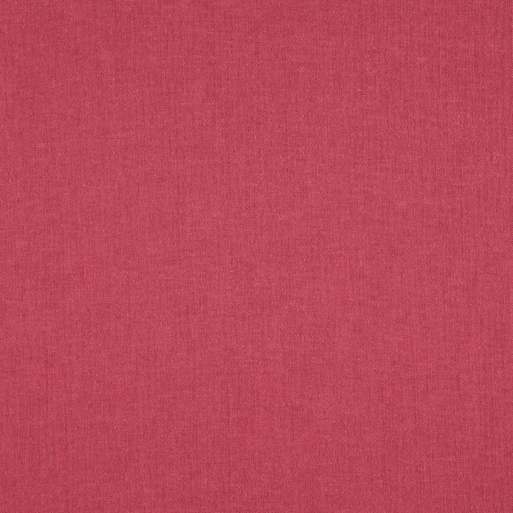 Cloud # 25 Mars by Maxwell Fabric PURE & SIMPLE VIII 72% POLYESTER/28% COTTON INDIA 54.25" - Fabric Carolina -
