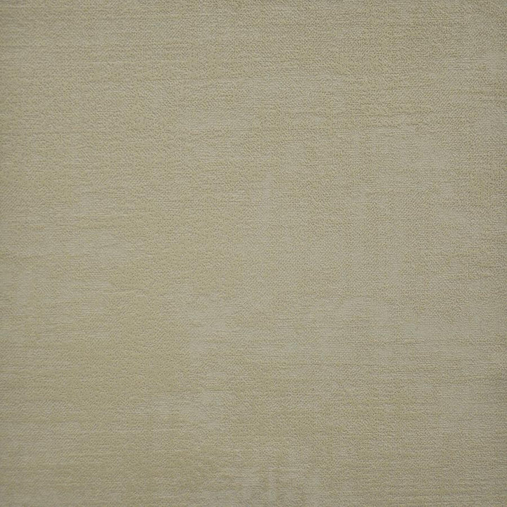 Carlotta # 709 Almond by Maxwell Fabric Velvet Room 100% POLYESTER CHINA 54" - Fabric Carolina -