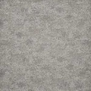 Cavort # 115 Smoke by Maxwell Fabric