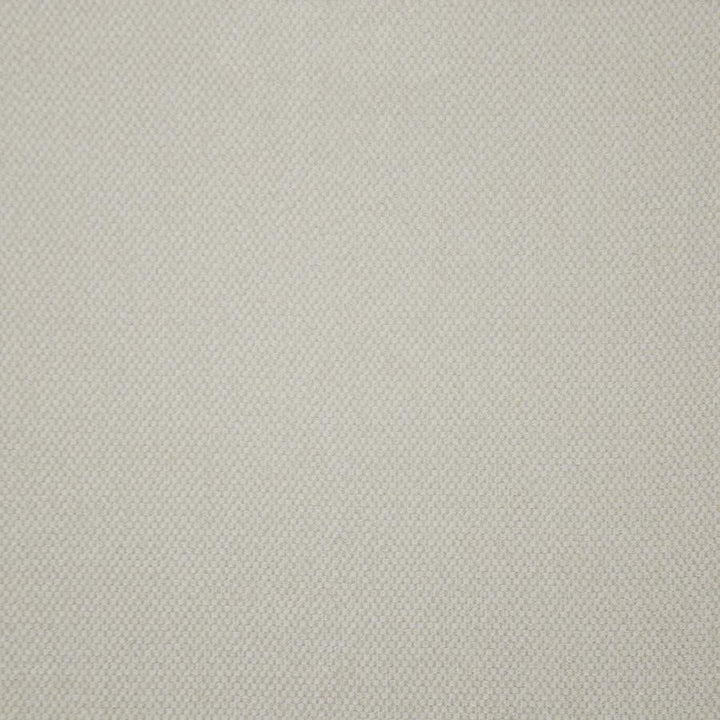 Cornell # 116 Sesame by Maxwell Fabric Wide Width Basics 100% POLYESTER TURKEY 118" - Fabric Carolina -