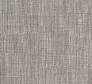 Cinema # 708 Turtle Dove by Maxwell Fabric