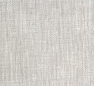Cinema # 788 Snow Cloud by Maxwell Fabric