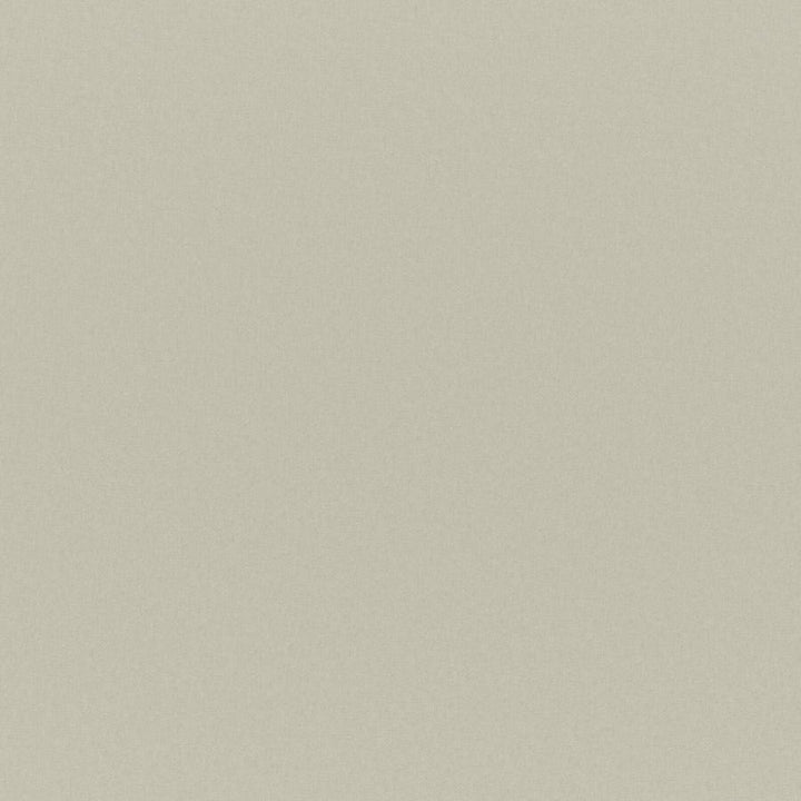 Cadenza # 711 Natural by Maxwell Fabric Curled Up Vii 100% POLYESTER CHINA 56" - Fabric Carolina -