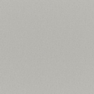Cadenza # 732 Silver by Maxwell Fabric