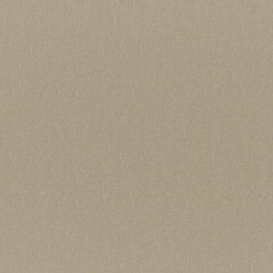 Cadenza # 736 Seagrass by Maxwell Fabric