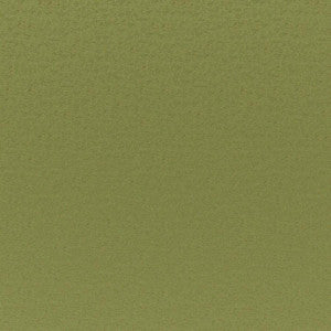 Cadenza # 741 Grass by Maxwell Fabric