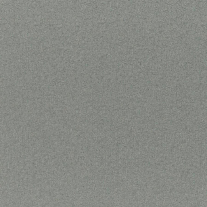 Cadenza # 772 Haze by Maxwell Fabric Curled Up Vii 100% POLYESTER CHINA 56" - Fabric Carolina -