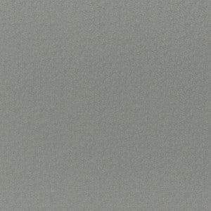 Cadenza # 772 Haze by Maxwell Fabric