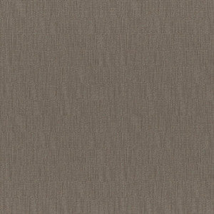 Chico # 251 Bison by Maxwell Fabric