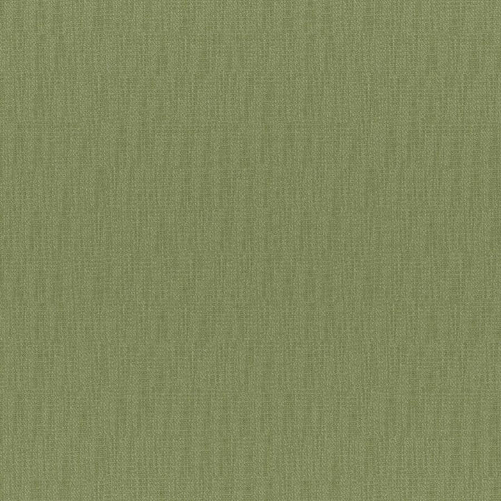 Chico # 831 Aloe by Maxwell Fabric Colorguard-Amazonia 64% POLYESTER/32% VISCOSE 4% COTTON INDIA 55" - Fabric Carolina -