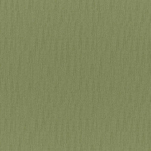 Chico # 831 Aloe by Maxwell Fabric