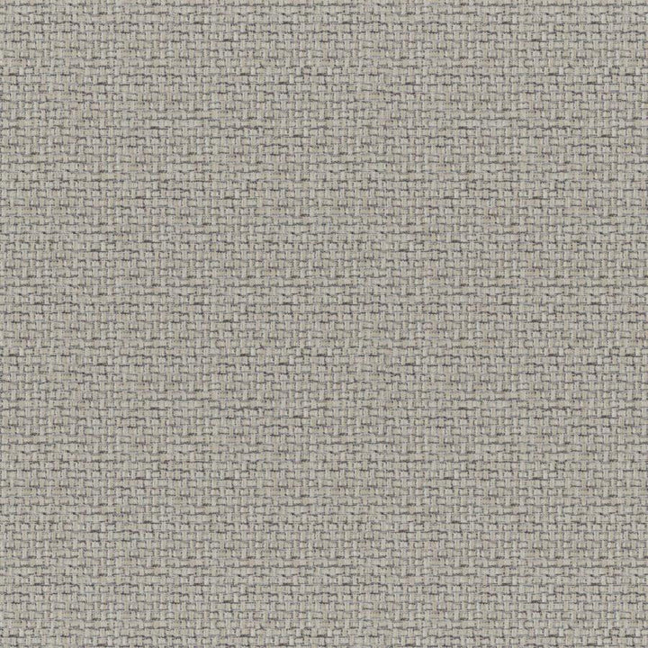 Caracara # 245 Sandbar by Maxwell Designer Fabric Colorguard-Nougat 83% POLYESTER/17% COTTON INDIA V-0.6"H-0.4" 55" - Swanky Fabrics -