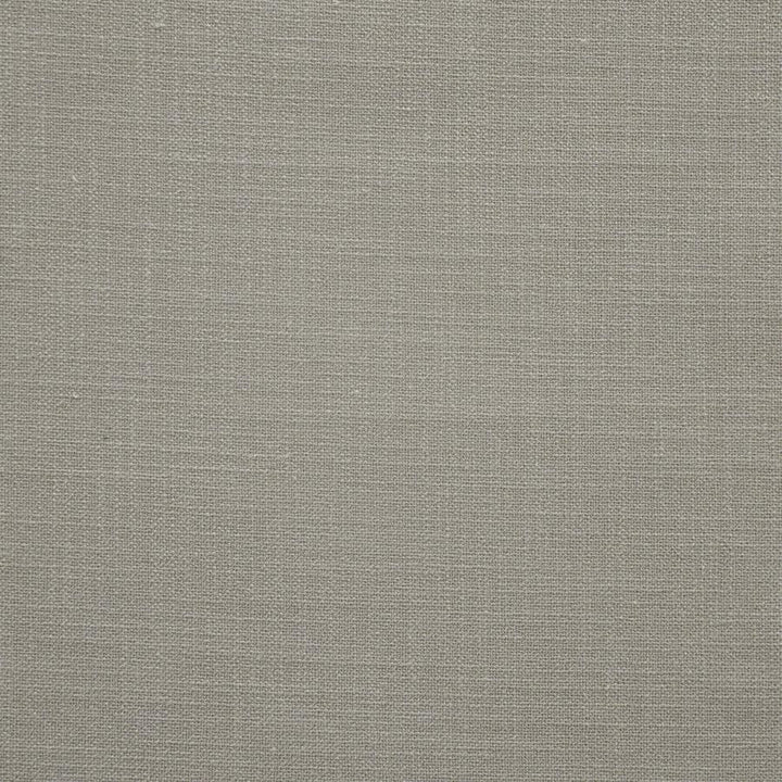 Campo # 941 Rhino by Maxwell Fabric Performance Wovens-Vol. V Silver Sun 88% POLYESTER/12% LINEN CHINA 55" - Fabric Carolina -