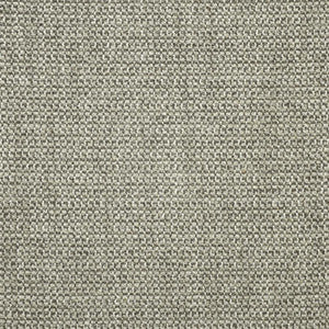Colter # 916 Faraday by Maxwell Fabric