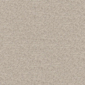 Castor # 925 Sponge by Maxwell Fabric